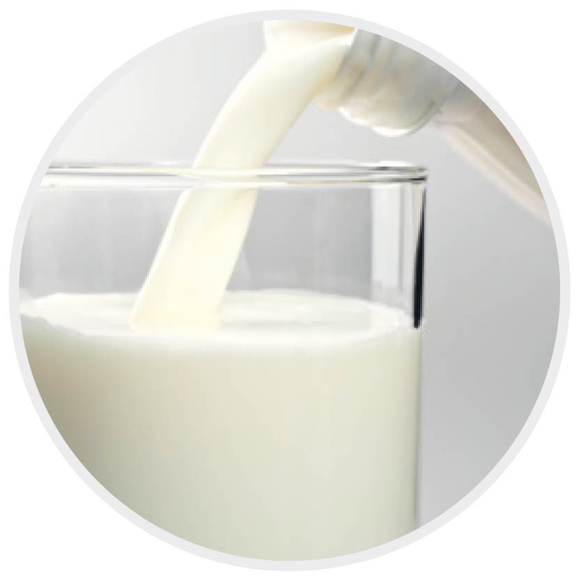 milchproteine_milk_shake_haarpflege